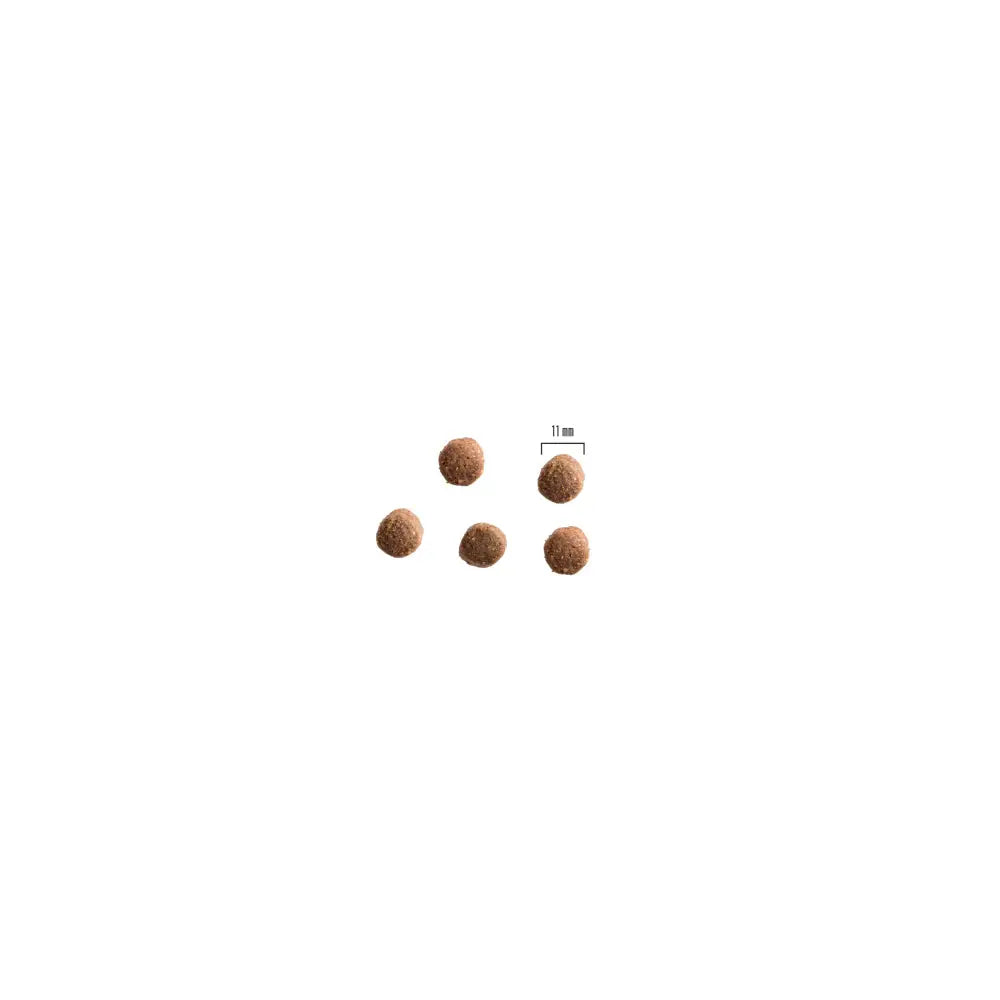 10kg primadog adult lammas & peruna - maistuva täysravinto retkeilyvarusteet verkkokaupasta 42,90 €