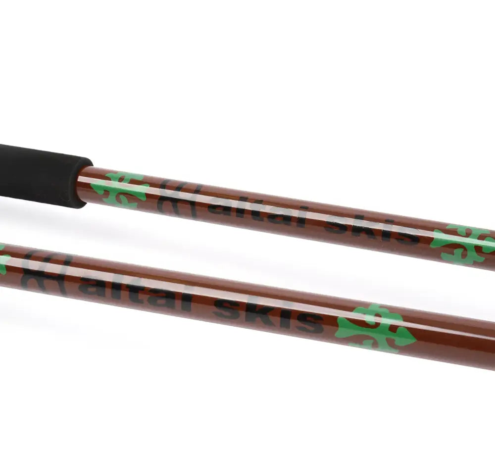 Altai skis pol 2 teleskooppisauvat - wildpoint outdoors retkeilyvarusteet verkkokaupasta 57,90 €