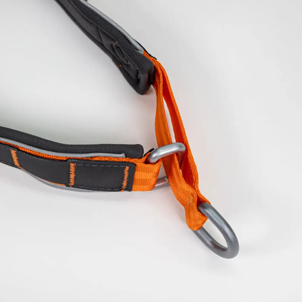 Non-stop cruise collar panta oranssi ja musta webbing-valjas hopeisilla metalliosilla