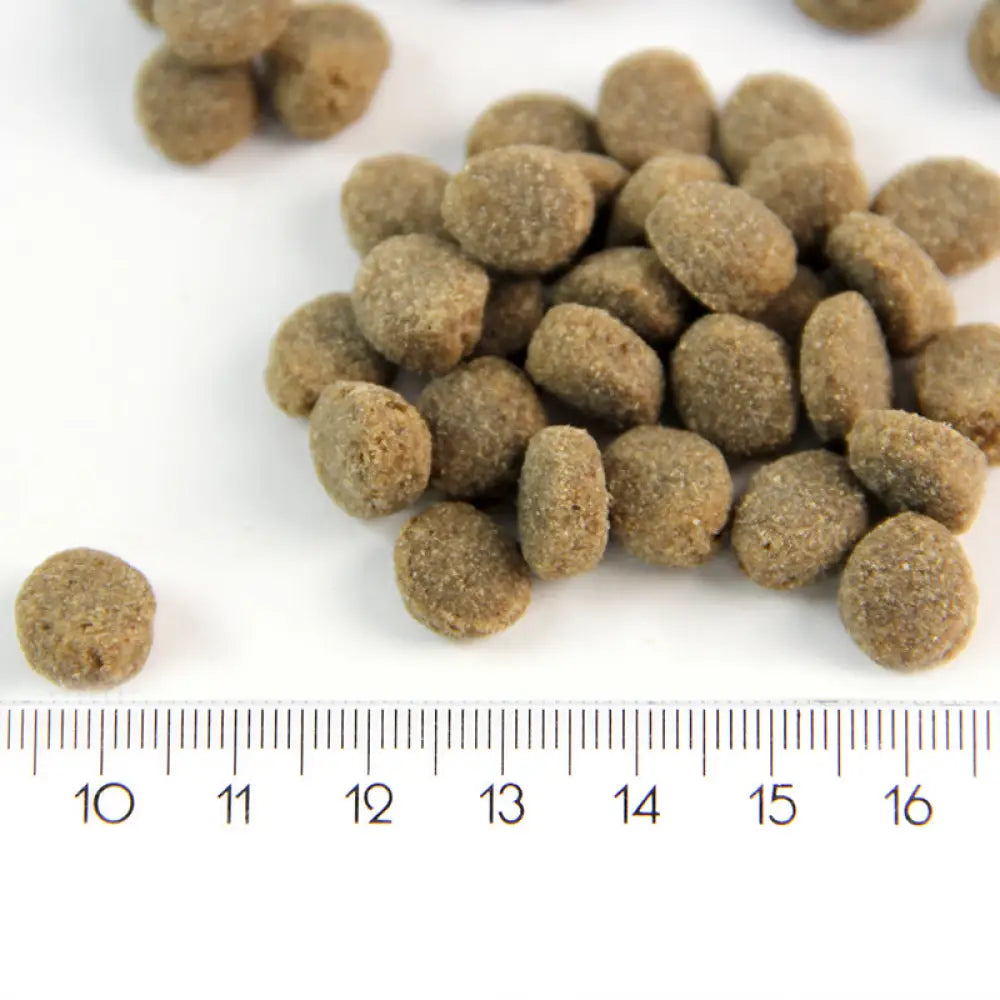 Probooster puppy sensitive lamb - ruoka nuorille koirille retkeilyvarusteet verkkokaupasta