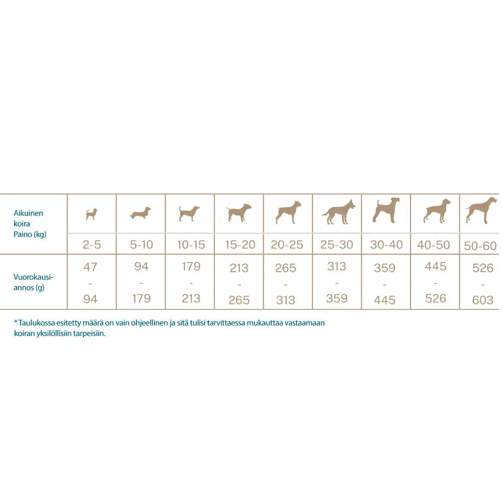 Quattro dog adult salmon all breed - koiranruoka retkeilyvarusteet verkkokaupasta