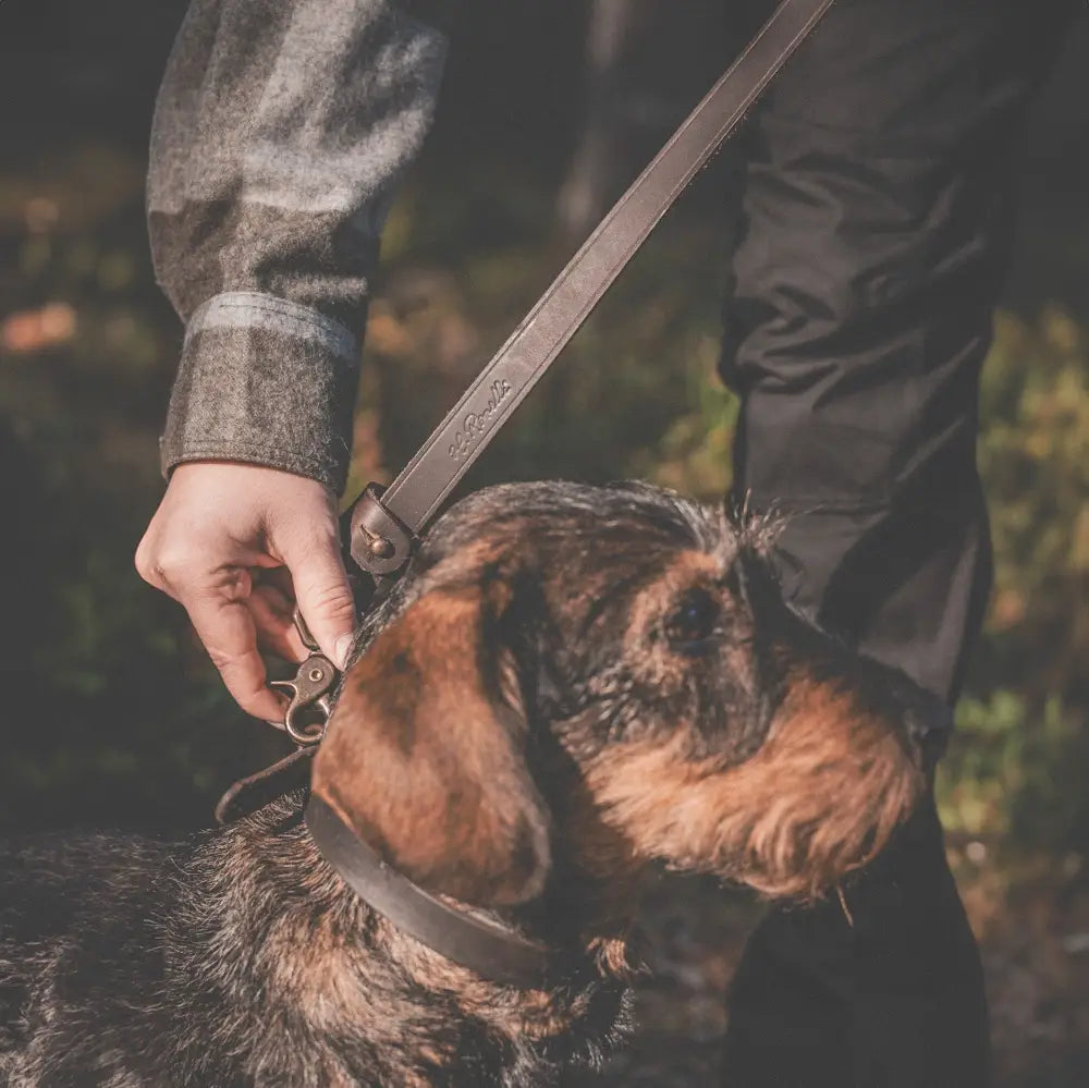 Brown leather dog leash with embossed roselli brand name and sturdy metal clasp for secure handling