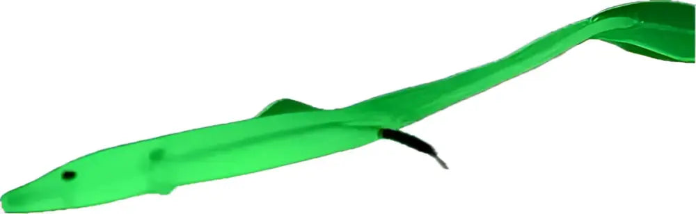 Green plastic fish shaped fishing lure with black tail and eye detail by wildpoint outdoors from luminous jigi set